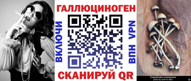 Галлюциногенные грибы Psilocybe  Венёв 
